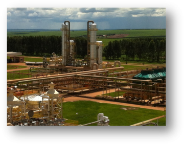 Iaco Agricola (GREENFIELD)